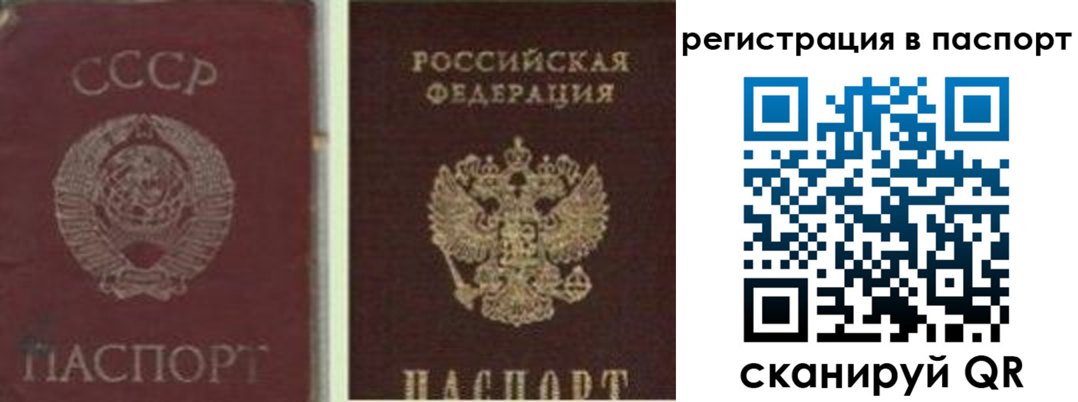 прописка для работы в Истре